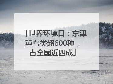 世界环境日：京津冀鸟类超600种，占全国近四成